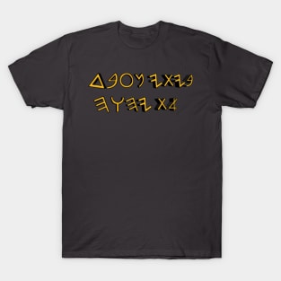 My House Serves YHWH (written in paleo Hebrew) T-Shirt